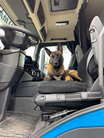 MAN door sign at Drösser